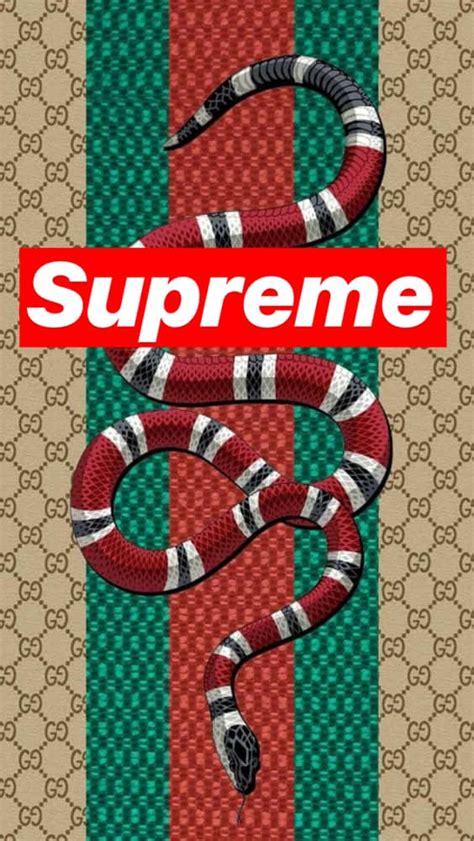 supreme cartoon gucci|gucci supreme collab red cherry.